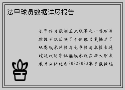 法甲球员数据详尽报告