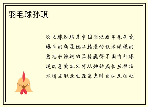 羽毛球孙琪